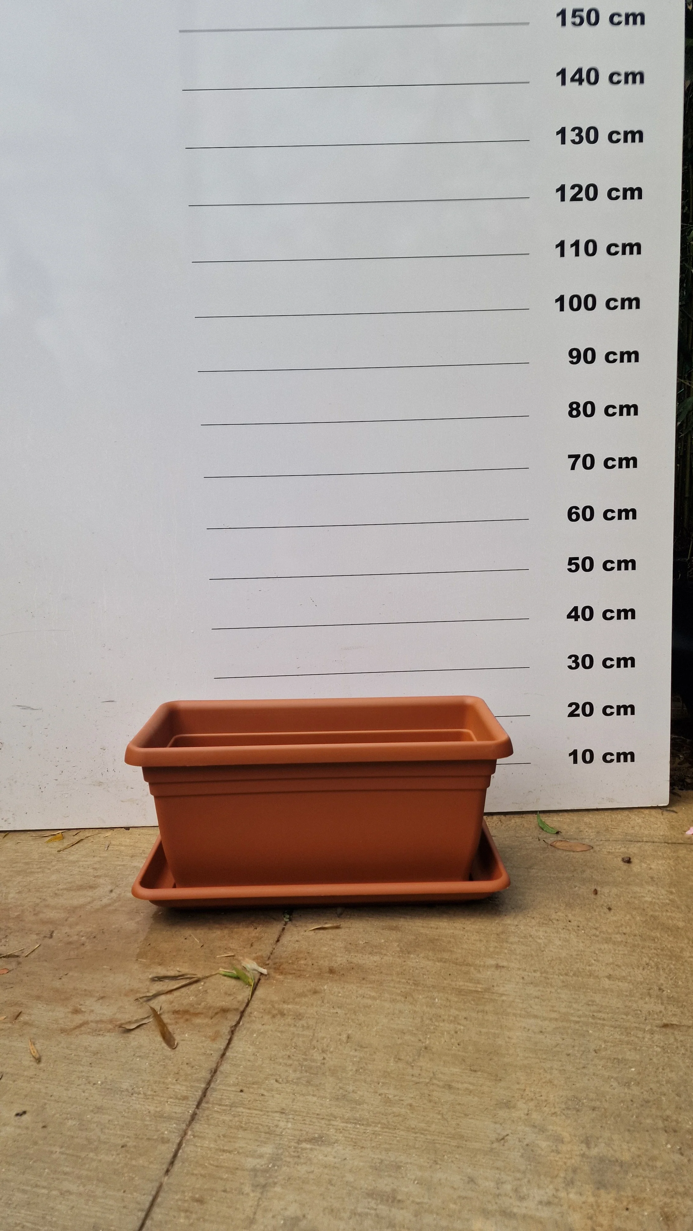 Image du produit 19